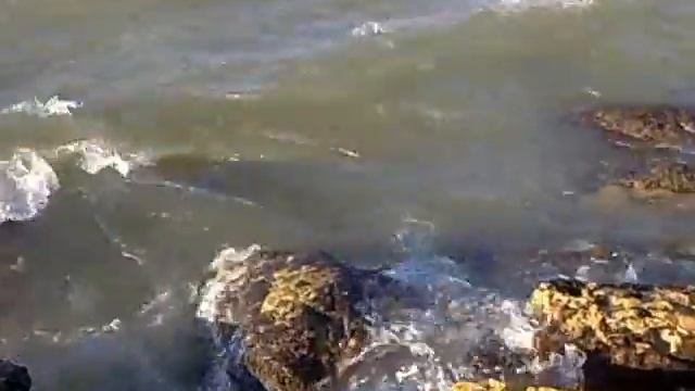 Тель-Авив - Яффо. После шторма. Вечер смотреть онлайн