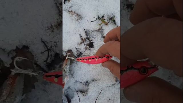 Ловля кумжи на воблер 90 мм (25 гр) от Mr. Musurok