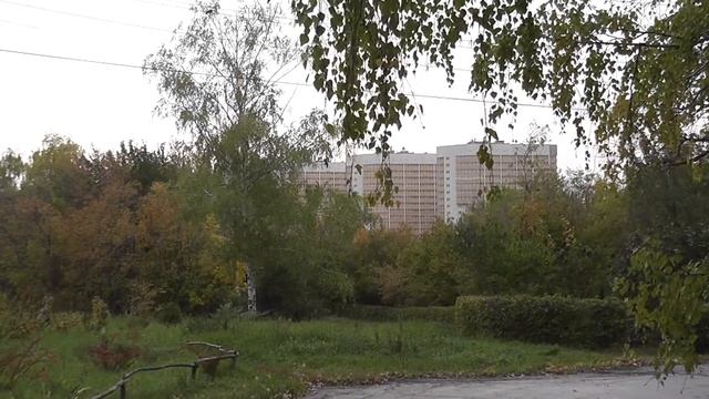 Ботанический сад. Самара. смотреть онлайн