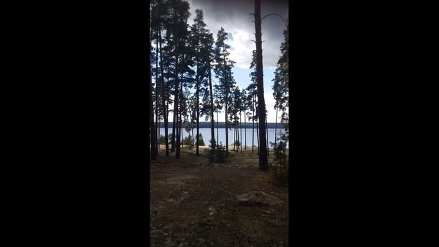 Синхрон август 2020 лада смотреть онлайн