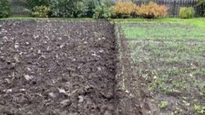 Мотоблок Агат, гагаринский плуг и сцепка ЗиД