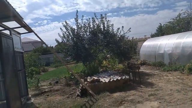 крыша дома моего