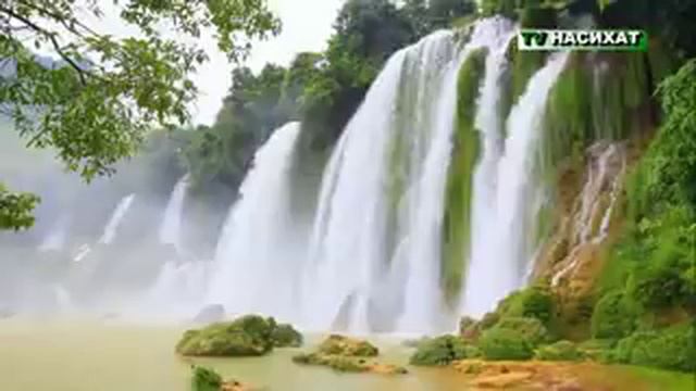 Пророк Мухаммада с.а.в плачет за свою умму смотреть онлайн