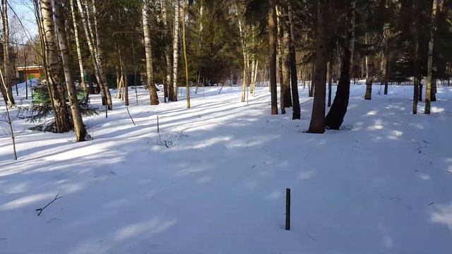 Прогулка по даче в конце февраля 2016 года. смотреть онлайн