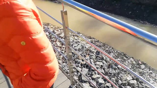 Глава МО Москворечье-Сабурово Заусаева и депутат Андрианов посетили Парк долины реки Чертановки смотреть онлайн