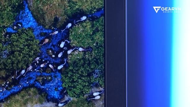 PENTIUM KHÔNG MẠNH, nhưng vì sao INTEL vẫn sản xuất? смотреть онлайн