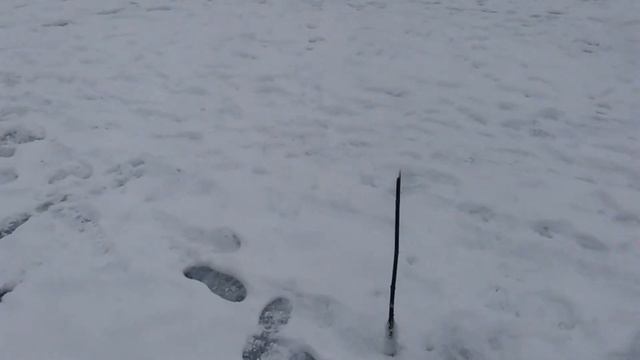 р.Клязьма (Завалка, затон) смотреть онлайн