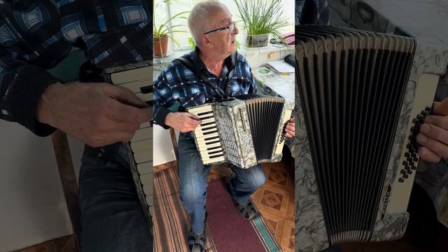 Weltmeister Stella piano accordion, 1/2 accordion, 32 Bass, 26 keys, 2 voices, New Straps and claps смотреть онлайн