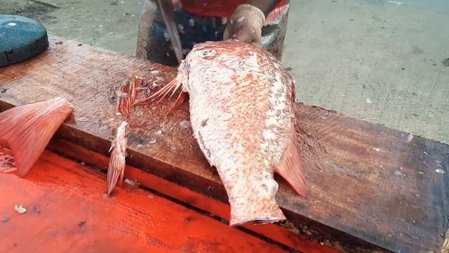 RED SNAPPER FISH | FRESH FISH CUTTING смотреть онлайн