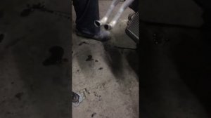 Замена Печного радиатора Хонда Степвагон