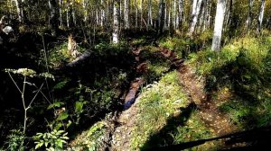 Внедорожные ШИНЫ САФАРИ 510. ПОЛНЫЙ ОБЗОР. Грязевая резина