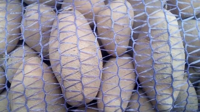 Посадочный картофель сорт Гранада смотреть онлайн