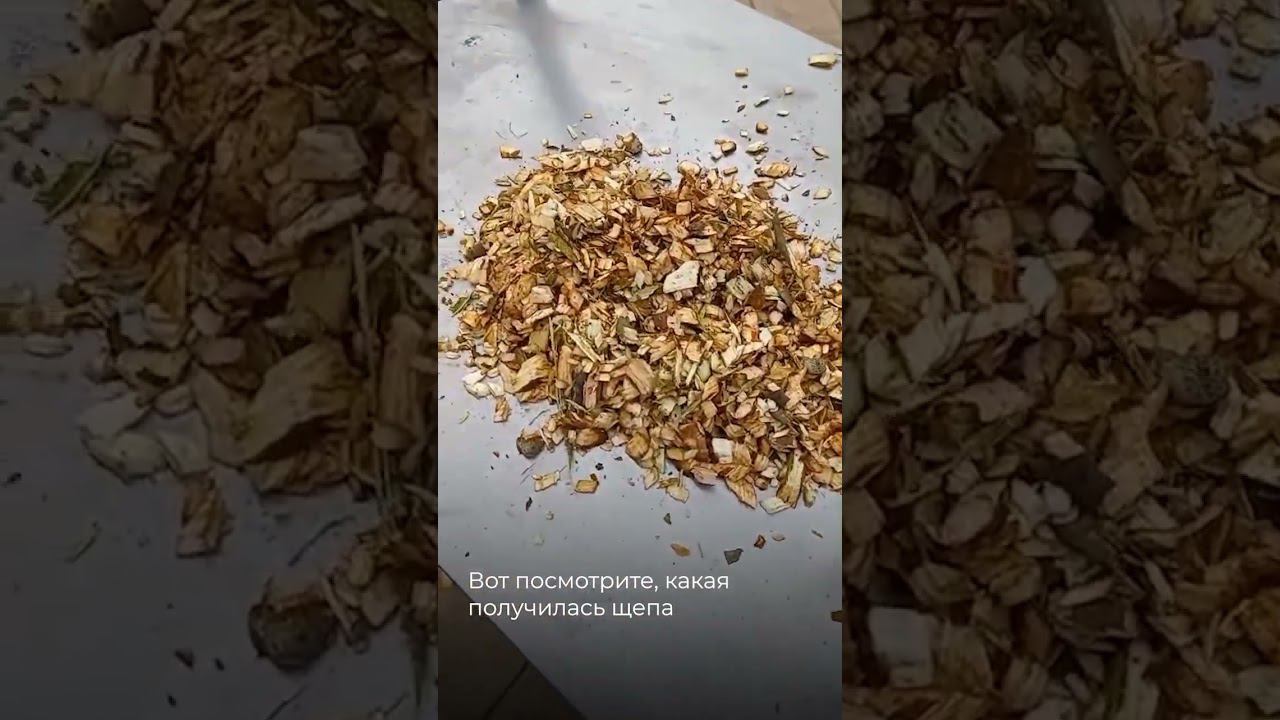 Измельчение веток на садовом измельчителе МР300 от СтанкоЛес #садоваятехника #садовыйизмельчитель смотреть онлайн