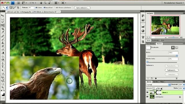 Adobe Photoshop CS4 Mac Tutorial German - Masken in der Ebenenpalette смотреть онлайн