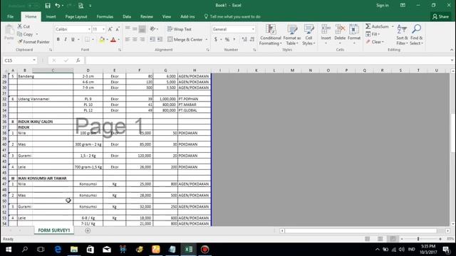 CARA COPY PASTE SHEET EXCEL HASIL SAMA PERSIS смотреть онлайн