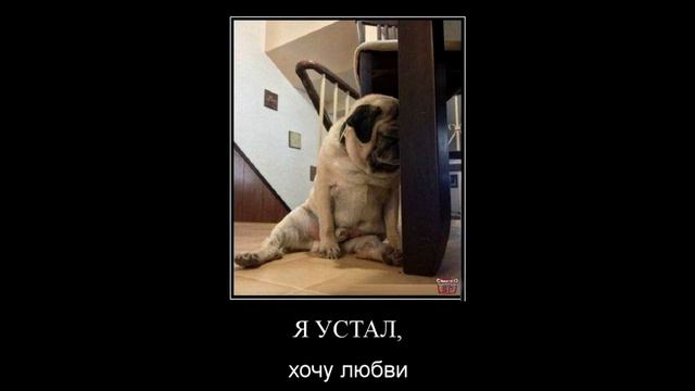 ВОЗНЕСЕНИЕ В ДЕЙСТВИИ (возьмемся за руки друзья) 2018 Отец АБСОЛЮТ контактер Марта смотреть онлайн