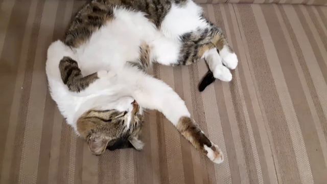 Жизнь хороша... смотреть онлайн