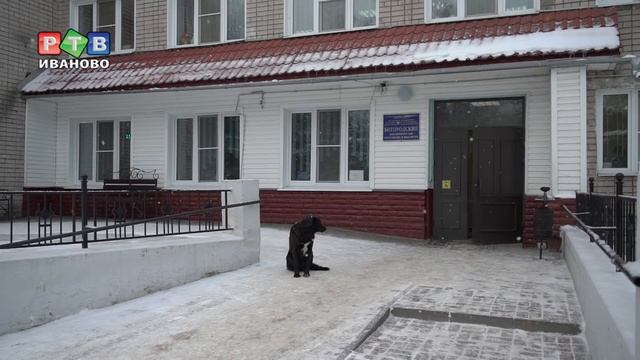 20 лет на улице: история одного инвалида смотреть онлайн