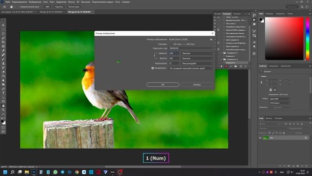 Почему в Photoshop картинки не заполняют всю область холста при одинаковом разрешении пример Full H смотреть онлайн