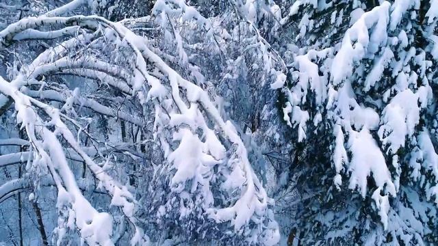 До слез красивая мелодия! ВОССТАНОВЛЕНИЕ НЕРВНОЙ СИСТЕМЫ! ЗИМА, СНЕГ. ЛЮБОВЬ смотреть онлайн