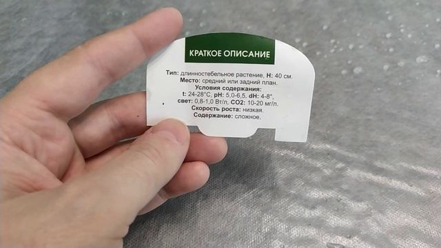 Меристемные аквариумные растения. Названия, интриги, расследования! смотреть онлайн