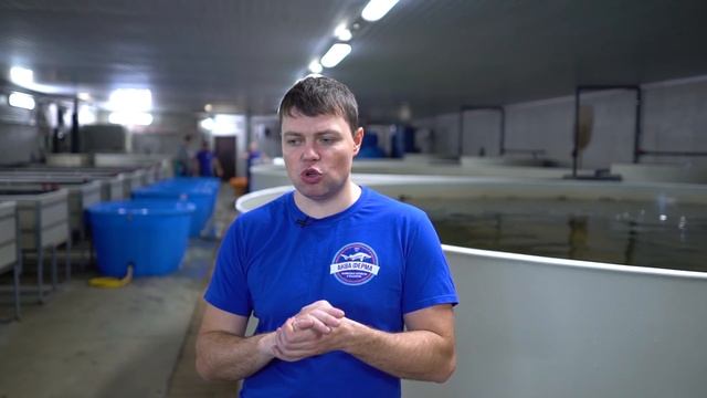 Гос поддержка и гранты от государства на развитие смотреть онлайн