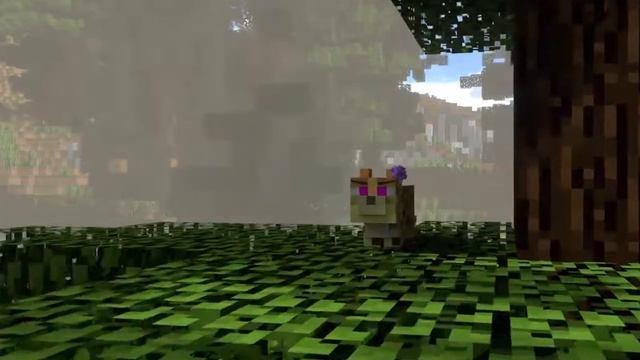 Жизнь оцелота/Minecraft PE