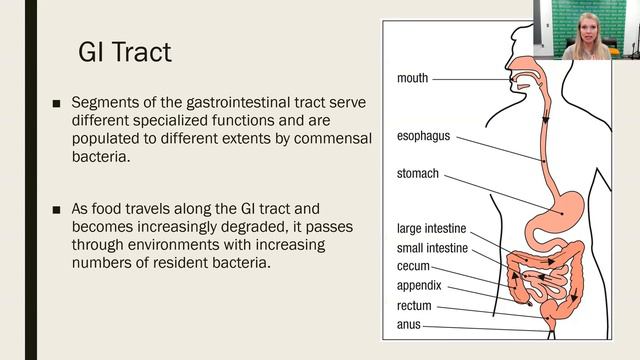 Preventing Infection at Mucosal surfaces - Part 1 (2023 Update) смотреть онлайн