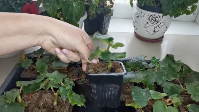 Дожить до весны смотреть онлайн