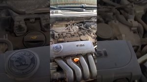 Плавают обороты двигателя,подсос воздуха причины и их устранение#шкода #шкодаА5#fsi #плаваютобороты