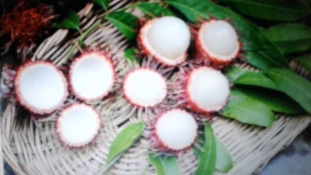 Рамбутан - экзотический фрукт: польза и вред. смотреть онлайн