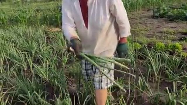 Рано утром на даче,Витя устал но шутки по жизни всегда рядом. смотреть онлайн