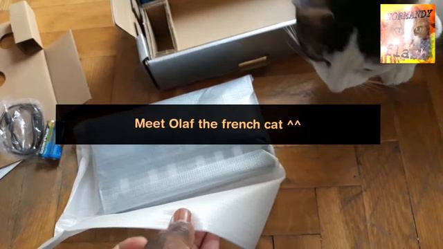 unboxing Korg Volca Nubass (#unboxing #KorgVolca #Volca #Korg #DAWless) смотреть онлайн