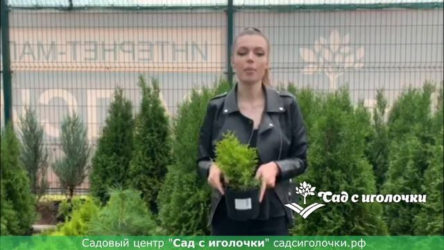 Садовый центр "Сад с иголочки" смотреть онлайн