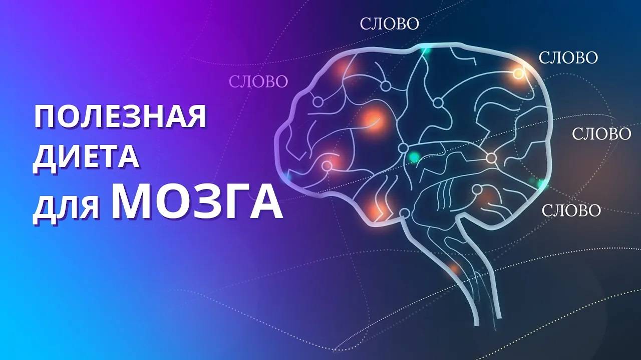 Чем питается мозг человека? Очистка мозга от ненужной информации. Полезная информация для мозга смотреть онлайн