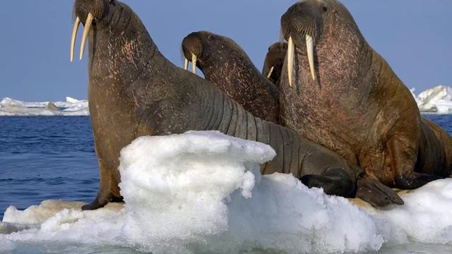 От мечты к открытию смотреть онлайн