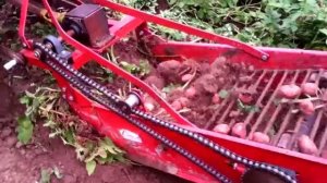 Китайская картофелекопалка и Т-25