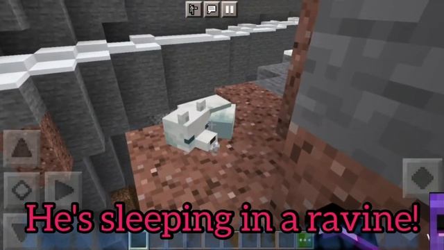 How to Find the VERY RARE Arctic Fox in Minecraft! смотреть онлайн