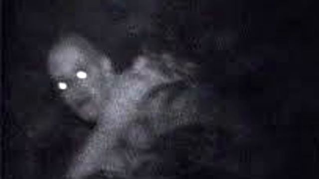 5 Жутких Существ Снятых на Видео