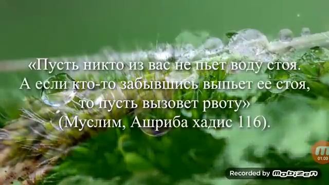 Почему нельзя пить воду стоя? смотреть онлайн