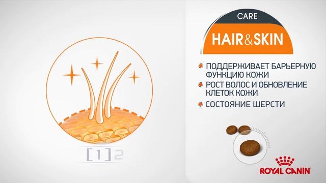 Роял Канин Hair and Skin care для кошек смотреть онлайн
