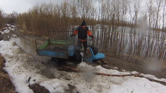 Мотороллер муравей, мопед внедорожный по грязи. смотреть онлайн