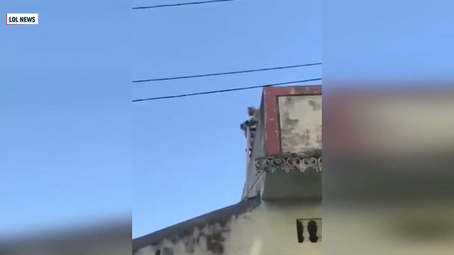 Свершилось чудо: 🙉 друг спас друга 🐒 смотреть онлайн