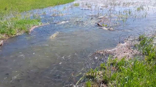 Весеннее половодье смотреть онлайн