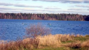 На Трояне.Десногорское вдхр.