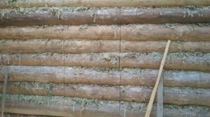 Строительство Слободы. Пропиливаем дверной проём в срубе. Подробно.