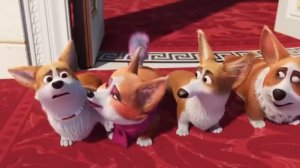 Королевский корги