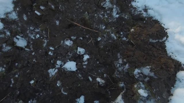 Фортуна м 3 КОПАЛИ МОНЕТЫ В СНЕГУ №132 смотреть онлайн