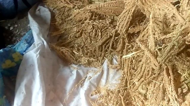 Ремонт на Дому