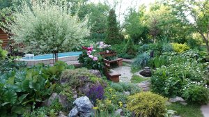 ЛАНДШАФТ на 6 сотках / «ЛУЧШИЙ САД» -победитель в конкурсе 2013Г/ УМНАЯ ДАЧА